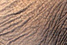 3580809173_92e51cbe1d_o