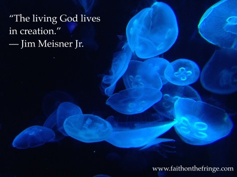 Living God in Creation