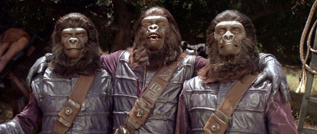 Gorillas in the real world aren't like gorillas in entertainment, or in our minds.