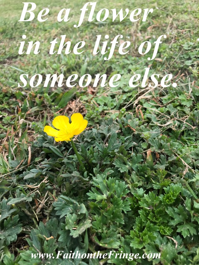 Be a flower in the life of someone else.