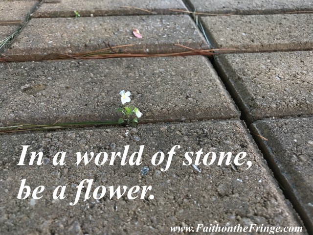 In a world of stone, be a flower.